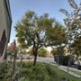 L&P Tree Service