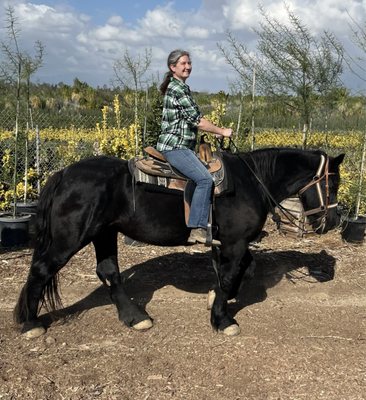 S&D Horseback Riding by null