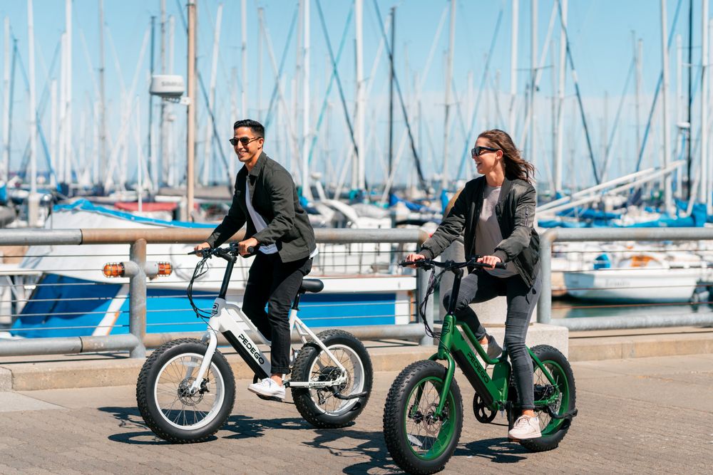 PEDEGO ELECTRIC BIKES TRAVERSE CITY Updated October 2024 14 Photos