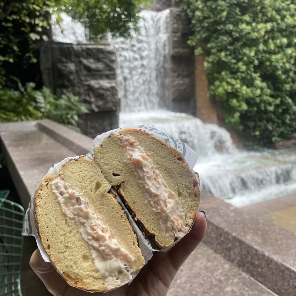 Greenacre Park - Perfect spot to escape the craziness of Ess-a-Bagel - Parks Near Me - New York, New York Greenacre Park - Perfect spot to escape the craziness of Ess-a-Bagel - Parks Near Me - New York, New York