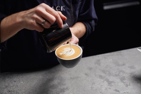 Black Fox Coffee by null