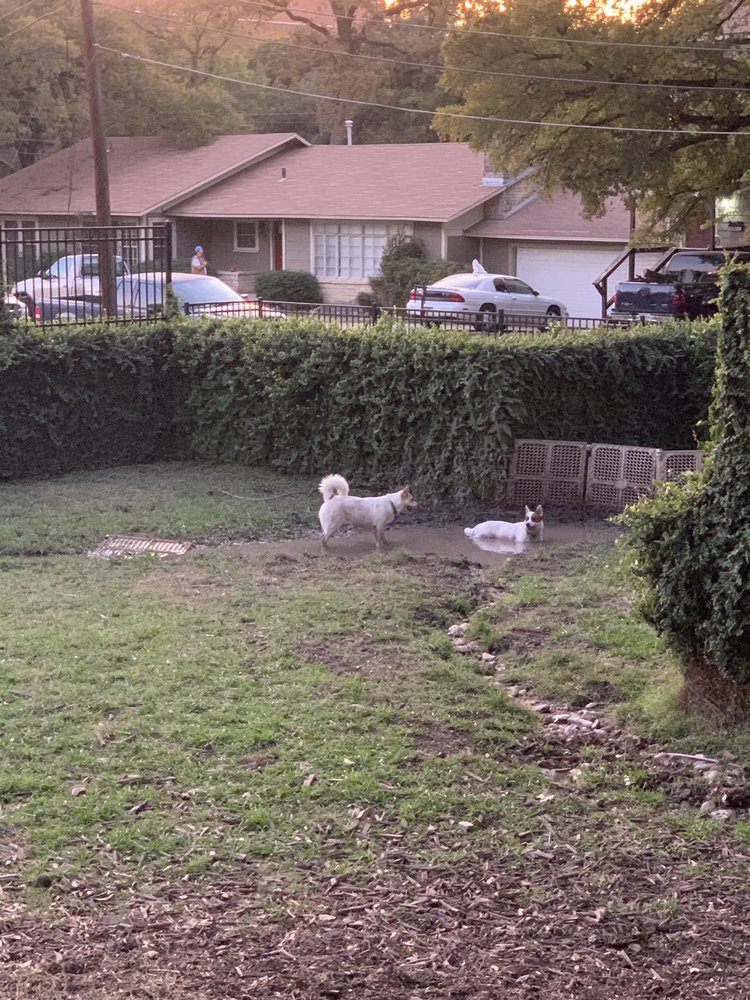 HANCOCK DOG PARK Updated September 2024 3307 Kim Ln, Austin, Texas
