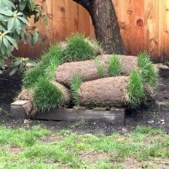 True Depth Services - Landscaping Near Me True Depth Services - Landscaping Near Me