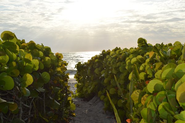 Florida West Coast Realty