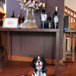 Vintner's Collective - Napa Valley