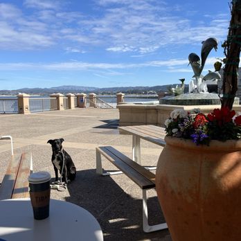 Tidal Coffee - Outdoor seating. Nice view and soothing sound from the fountain. - Cafes Near Me - Monterey, California Tidal Coffee - Outdoor seating. Nice view and soothing sound from the fountain. - Cafes Near Me - Monterey, California