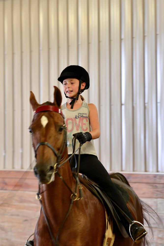 Equitate - equestrian in Ixonia, WI