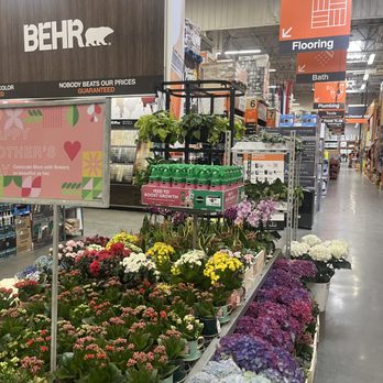 The Home Depot - Flowers ready for Spring and Mothers alike! - Nurseries & Gardening Near Me - Napa, California The Home Depot - Flowers ready for Spring and Mothers alike! - Nurseries & Gardening Near Me - Napa, California