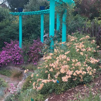 Nature's Design - An arbor in my Demonstration garden during the month of May - Landscaping Near Me - Oakland, California Nature's Design - An arbor in my Demonstration garden during the month of May - Landscaping Near Me - Oakland, California
