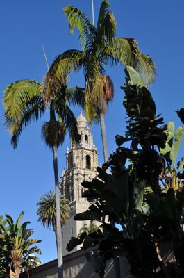 Alcázar Garden by null