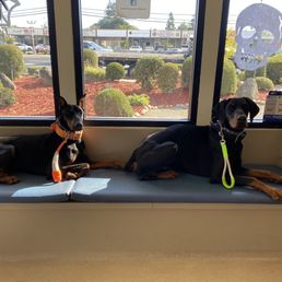 Kenzo and boss waiting in the lobby area Kenzo and boss waiting in the lobby area