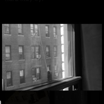 Studio Museum Harlem - Art Museums Near Me - New York, New York Studio Museum Harlem - Art Museums Near Me - New York, New York