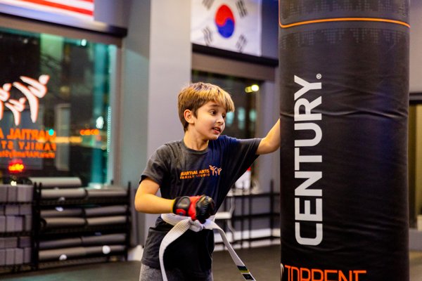 Martial Arts Family Studio