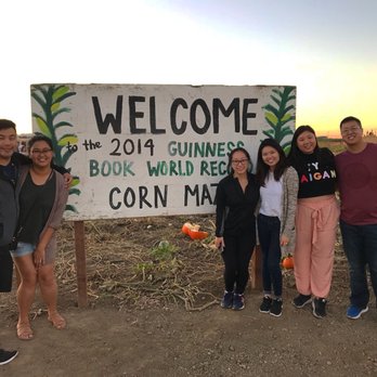 Cool Patch Pumpkins - Pumpkin Patches Near Me - Dixon, California