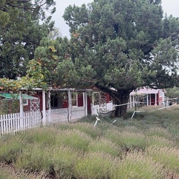 Pine Creek Canyon Lavender Farm - Farms Near Me - Pine, Arizona
