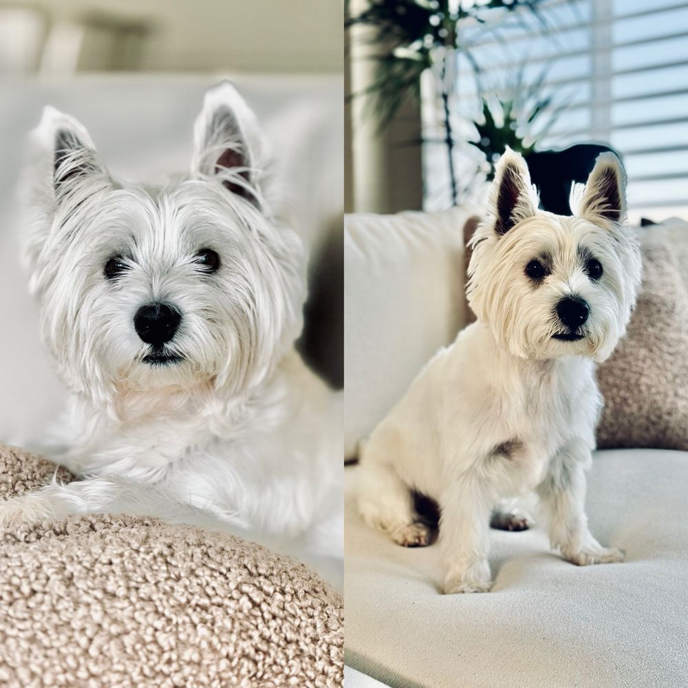 Before and after. Before and after.