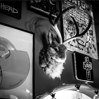 Small Axe Roadhouse - a deer head mounted on a wall - Salad Near Me - Enderby, British Columbia Small Axe Roadhouse - a deer head mounted on a wall - Salad Near Me - Enderby, British Columbia