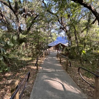 Payne's Prairie Observation Tower - Visitor's Center Walkway - Hiking Near Me Payne's Prairie Observation Tower - Visitor's Center Walkway - Hiking Near Me
