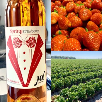 Maestro Winery - a bottle of wine and a field of strawberries - Beer, Wine & Spirits Near Me - St. Augustine, Florida