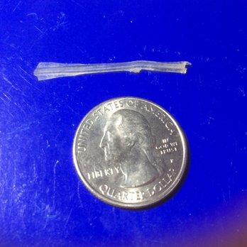 Korean Kitchen - The piece of plastic in my seafood dish. - Korean Near Me - Wake Forest, North Carolina Korean Kitchen - The piece of plastic in my seafood dish. - Korean Near Me - Wake Forest, North Carolina