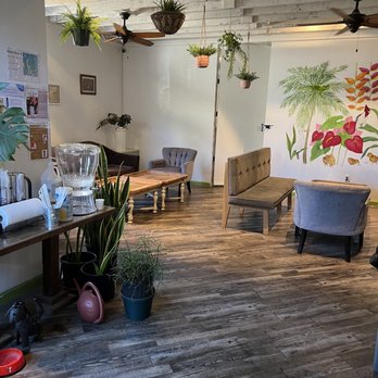 Aloha Bakehouse & Cafe - Upstairs - Coffee & Tea Near Me - Honolulu, Hawaii Aloha Bakehouse & Cafe - Upstairs - Coffee & Tea Near Me - Honolulu, Hawaii