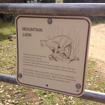 Stebbins Cold Canyon Loop Trail - Hiking Near Me - Winters, California