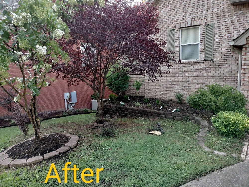 Slide of LevelUp Solutions