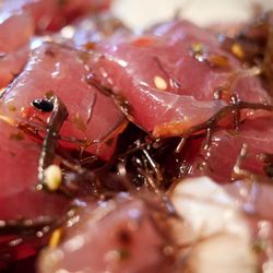 Ken's Fresh Fish - Fresh ahi sesame ogo poke