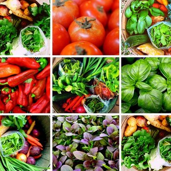 Pete's Greens - Fresh! Organic! Seasonal! - CSA Near Me - Craftsbury, Vermont Pete's Greens - Fresh! Organic! Seasonal! - CSA Near Me - Craftsbury, Vermont