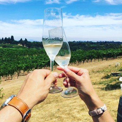 Iron Horse Vineyards by null