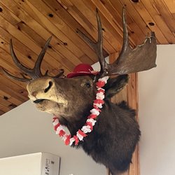 Benard Kavanaugh's Million Dollar View - Greeter!