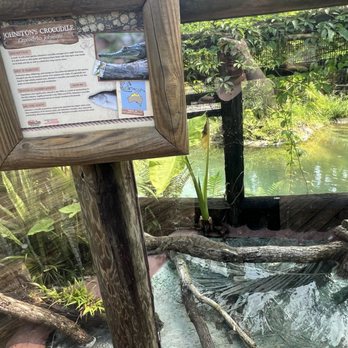 St. Augustine Alligator Farm Zoological Park - August 2025 - Zoos Near Me - Saint Augustine, Florida St. Augustine Alligator Farm Zoological Park - August 2025 - Zoos Near Me - Saint Augustine, Florida