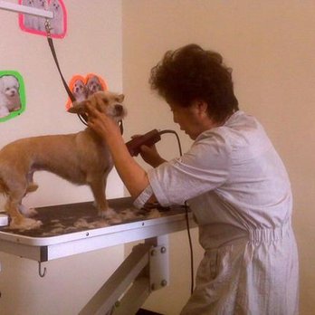 Pioneer Grooming - untitled - Pet Groomers Near Me - Norwalk, California Pioneer Grooming - untitled - Pet Groomers Near Me - Norwalk, California