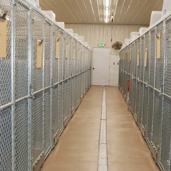 Rocky Mountain Kennels - Pet Groomers Near Me - Longmont, Colorado