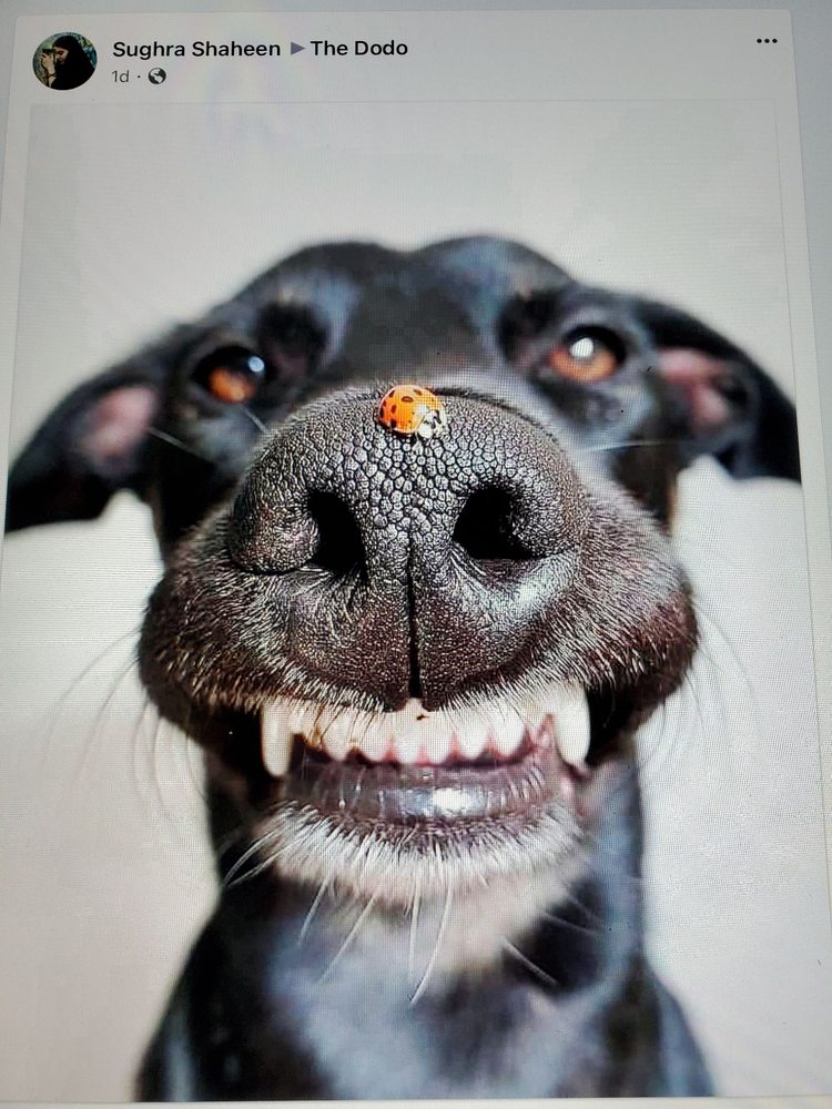 DENNIS COMPANY ACE Updated September 2024 17 Reviews 201 Pacific