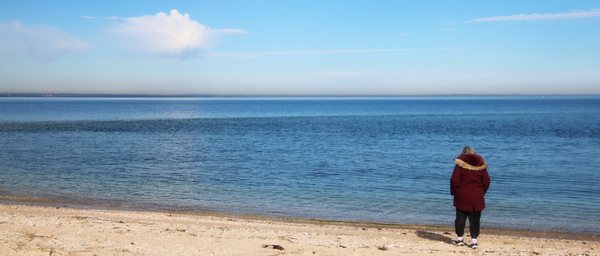 Crab Meadow Beach by null