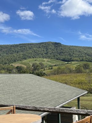 Glen Manor Vineyards by null