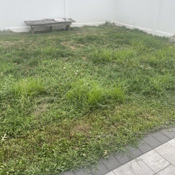 Frankly Clean - The backyard cut I was charged $100 for - Painters Near Me