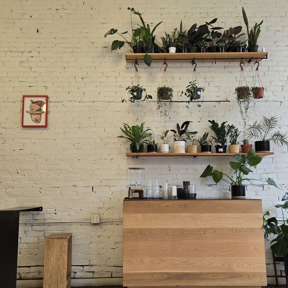 Homage Coffee - Water bar - Coffee & Tea Near Me - Seattle, Washington