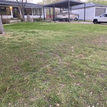 512 Landscaping - Again not mowing in three months - Tree Services Near Me - Austin, Texas 512 Landscaping - Again not mowing in three months - Tree Services Near Me - Austin, Texas