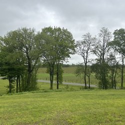 Lakeview Wine Cellars - The view