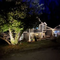 Alexia Lighting Design