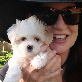 Best Care Pet Clinic - Miss Pearl - Veterinarians Near Me - Glendale, California Best Care Pet Clinic - Miss Pearl - Veterinarians Near Me - Glendale, California