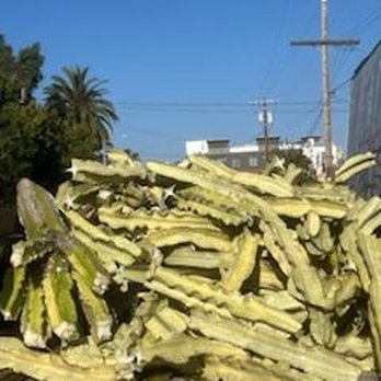 LJ’S Landscaping - Cactus removal - Landscaping Near Me
