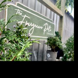 The Evergreen Patio & Mimosa Bar