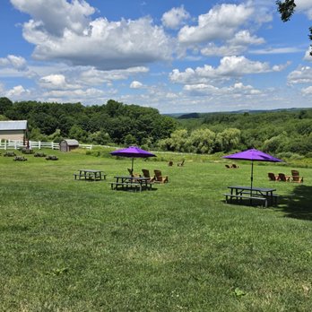 Hawk Ridge Winery - Wineries Near Me - Watertown, Connecticut Hawk Ridge Winery - Wineries Near Me - Watertown, Connecticut