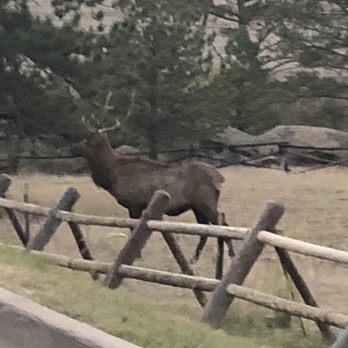 Black Canyon Inn - Hotels Near Me - Estes Park, Colorado