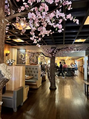 Sushi Junai Omakase by null