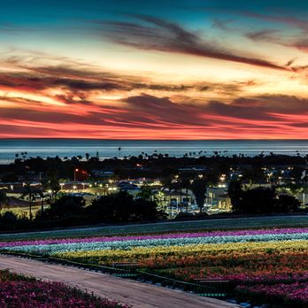 KingBenefits Insurance Solutions - Located right off the 5 freeway, near the Carlsbad Flower Fields. - Insurance Near Me - Carlsbad, California KingBenefits Insurance Solutions - Located right off the 5 freeway, near the Carlsbad Flower Fields. - Insurance Near Me - Carlsbad, California