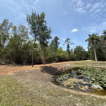 DB Lawn Maintenance - Pond After #1 - Landscaping Near Me DB Lawn Maintenance - Pond After #1 - Landscaping Near Me